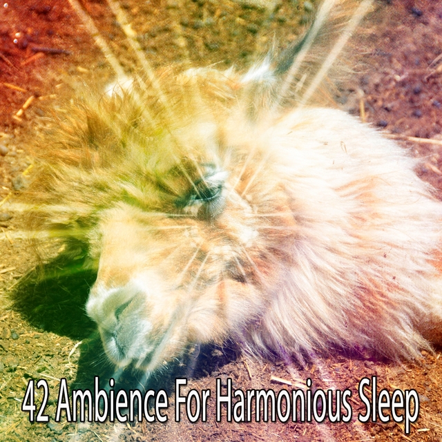 42 Ambience For Harmonious Sleep