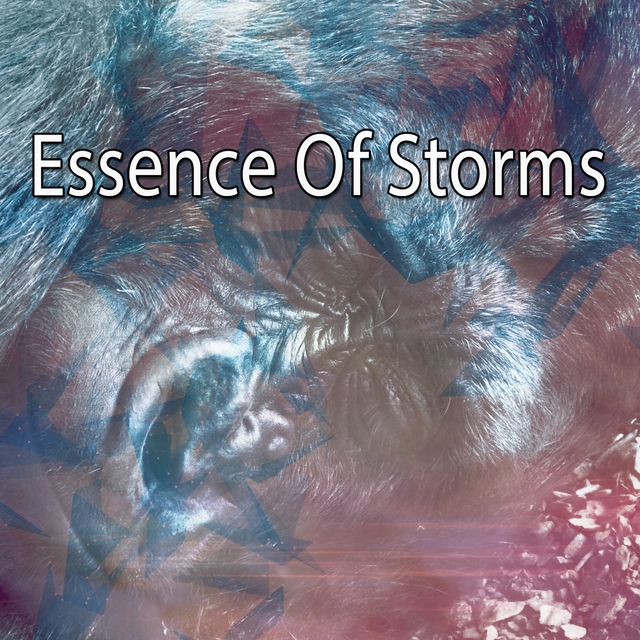 Couverture de Essence Of Storms