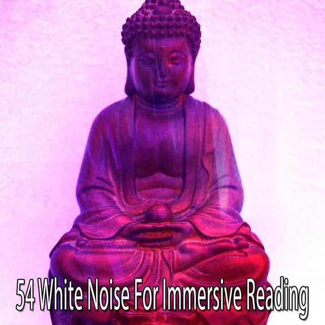 Couverture de 54 White Noise For Immersive Reading