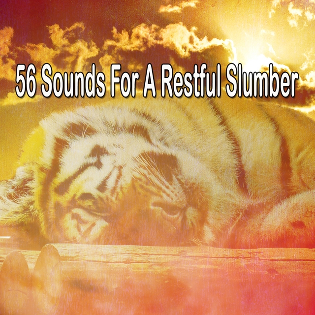 Couverture de 56 Sounds For A Restful Slumber