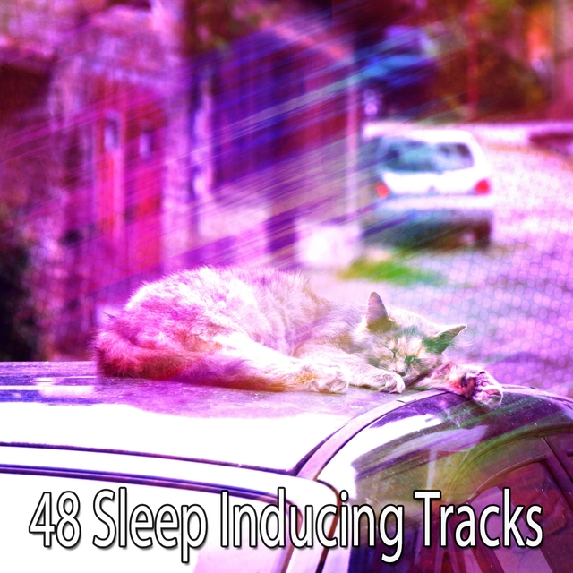 Couverture de 48 Sleep Inducing Tracks