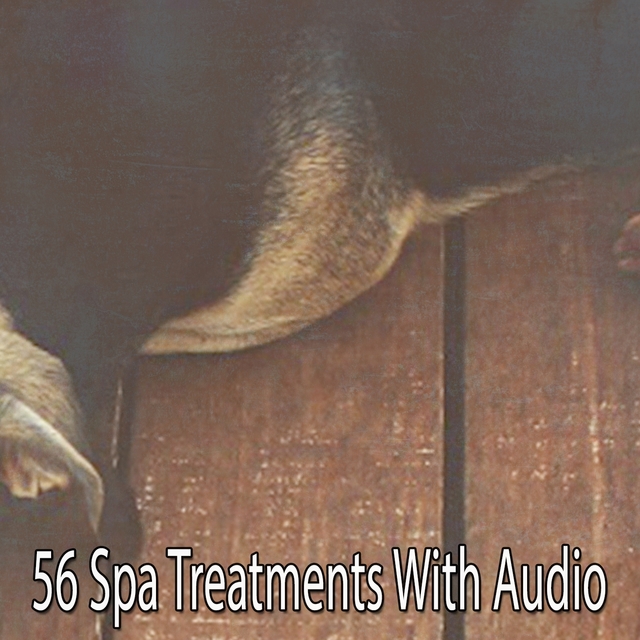 Couverture de 56 Spa Treatments With Audio