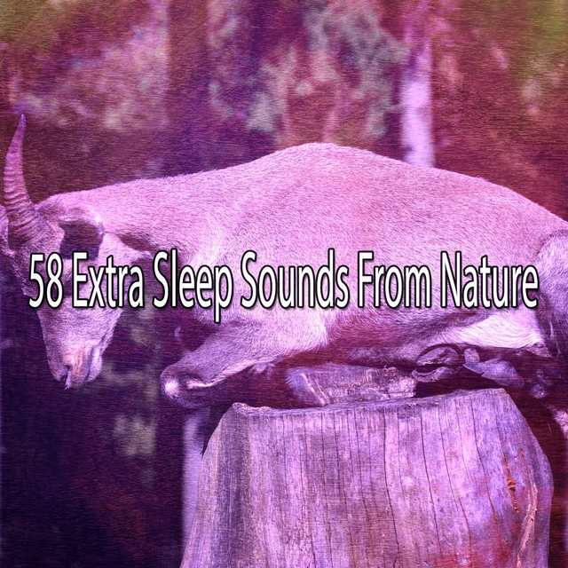 58 Extra Sleep Sounds From Nature