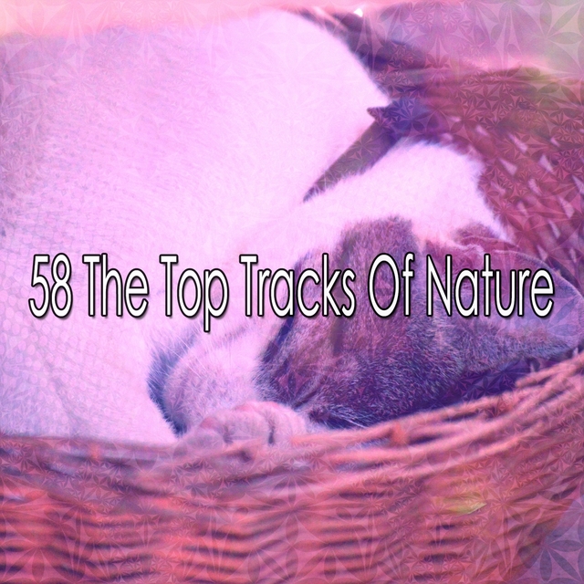 Couverture de 58 The Top Tracks Of Nature