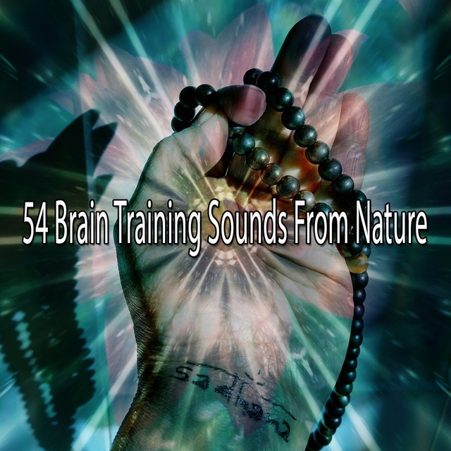 54 Brain Training Sounds From Nature