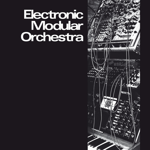 Couverture de Electronic Modular Orchestra