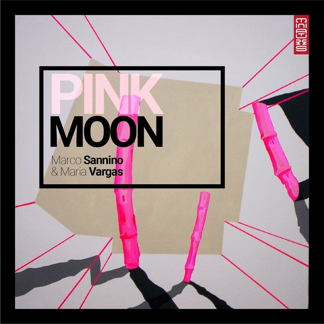 Couverture de Pink Moon