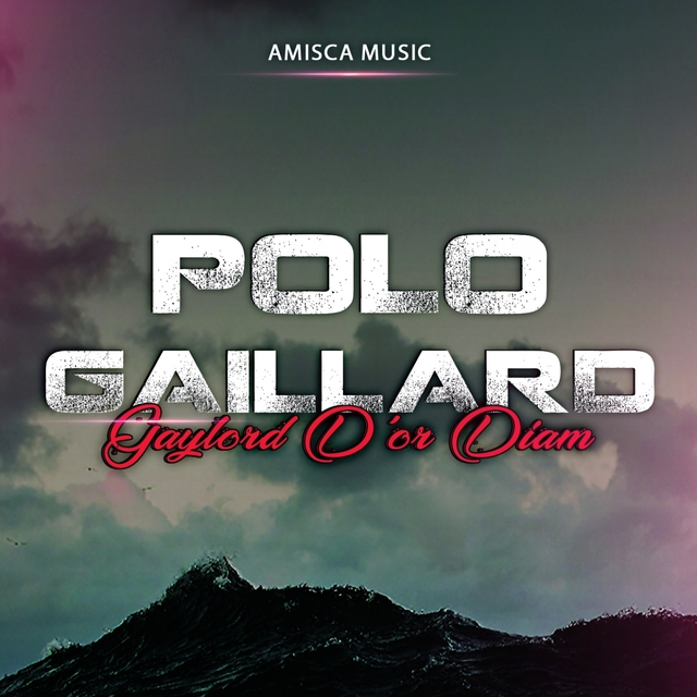 Couverture de Polo Gaillard