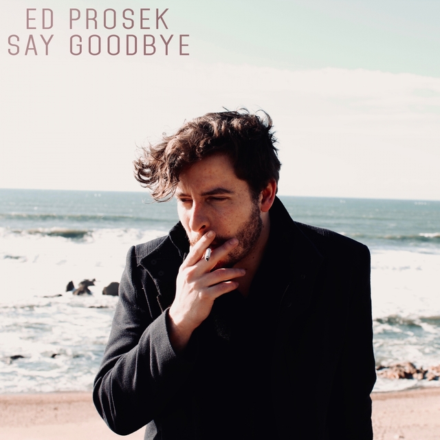 Couverture de Say Goodbye