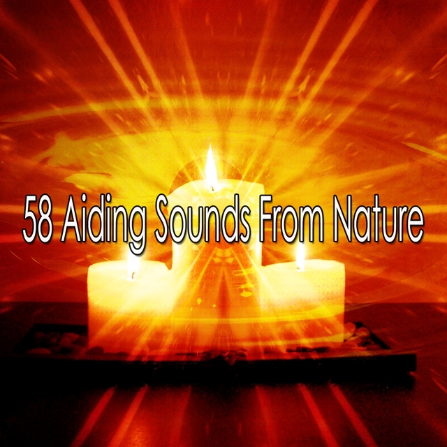 58 Aiding Sounds From Nature