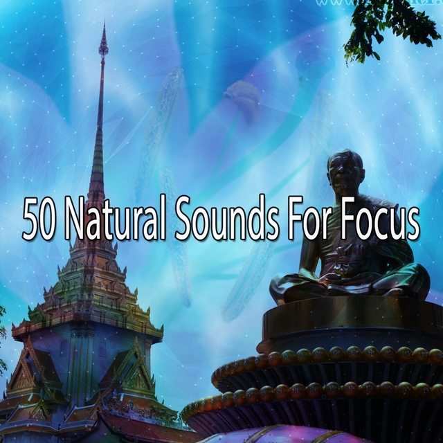 50 Natural Sounds For Focus