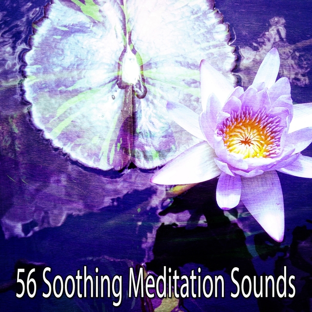 56 Soothing Meditation Sounds