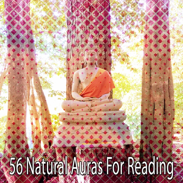 Couverture de 56 Natural Auras For Reading