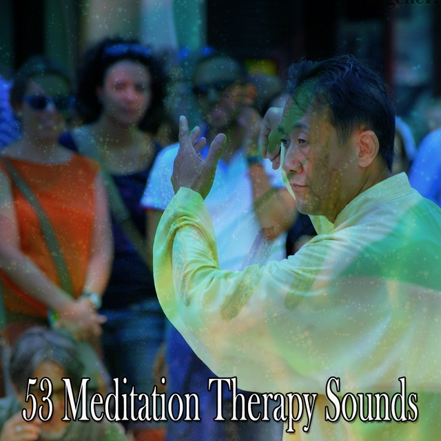 Couverture de 53 Meditation Therapy Sounds