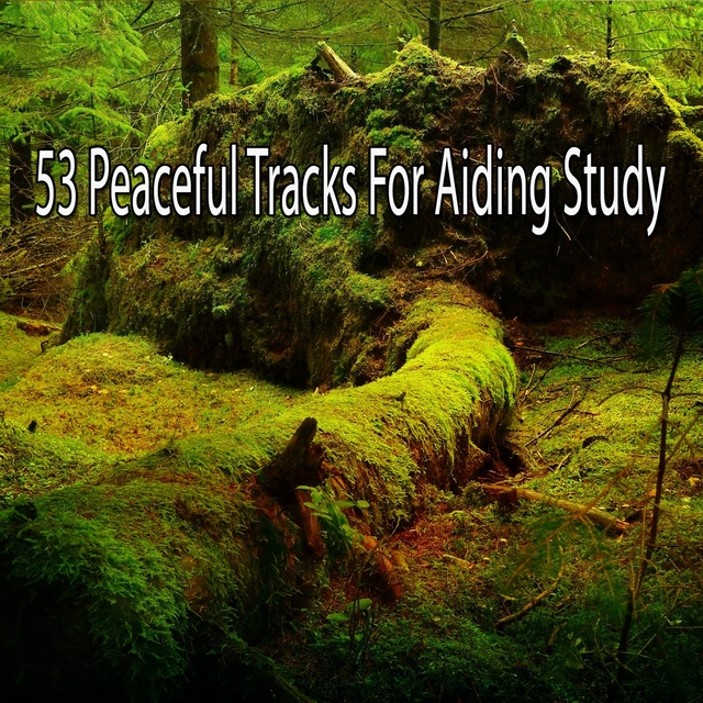 Couverture de 53 Peaceful Tracks For Aiding Study