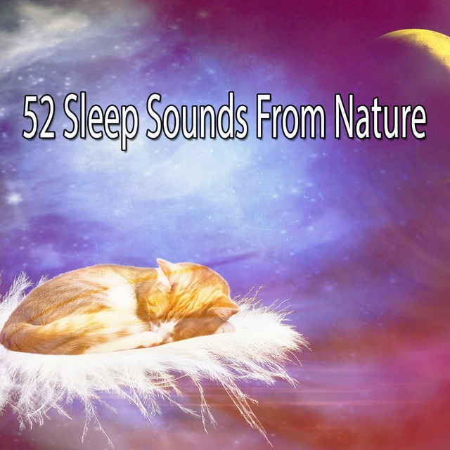 Couverture de 52 Sleep Sounds From Nature