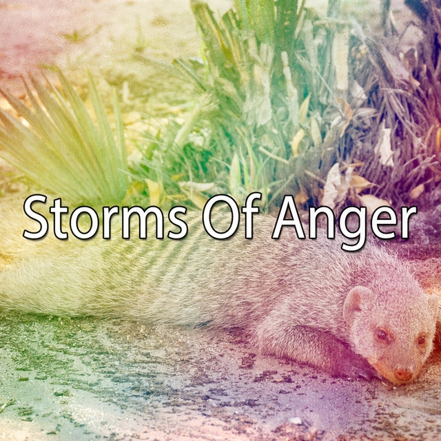 Couverture de Storms Of Anger