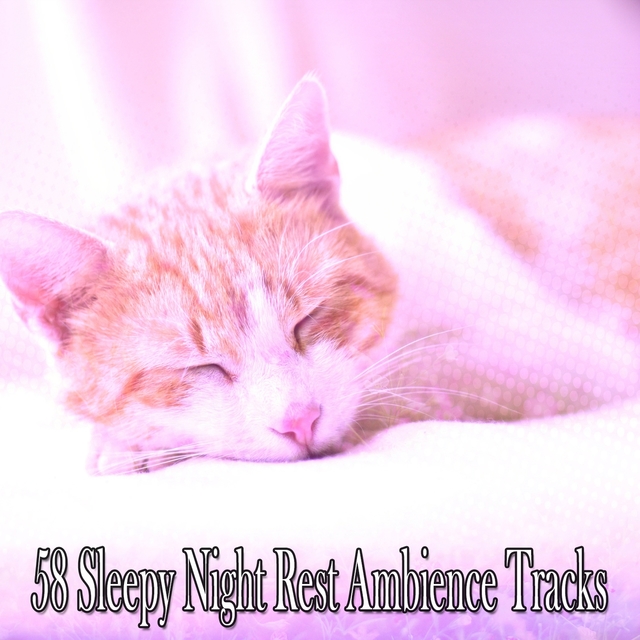 Couverture de 58 Sleepy Night Rest Ambience Tracks