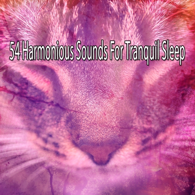 Couverture de 54 Harmonious Sounds For Tranquil Sleep