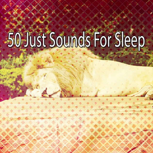 50 Just Sounds For Sleep