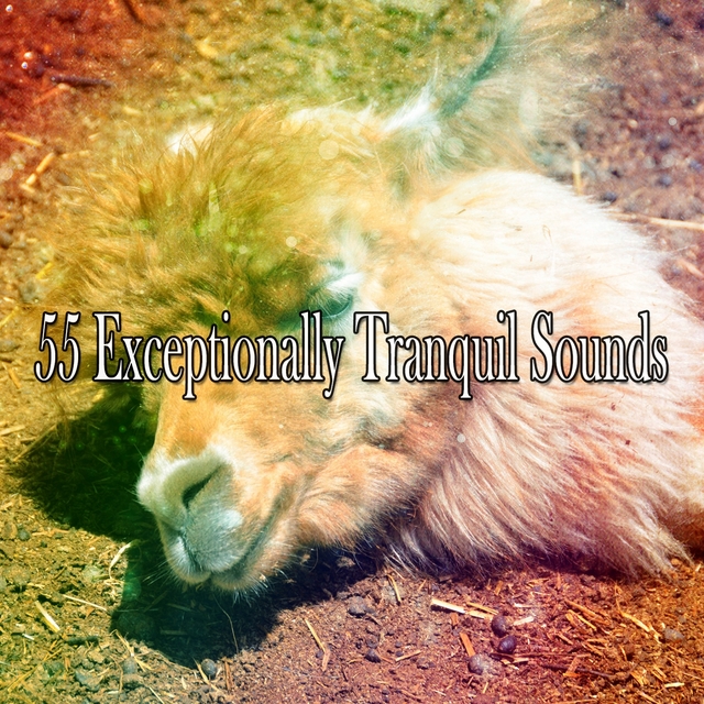 Couverture de 55 Exceptionally Tranquil Sounds