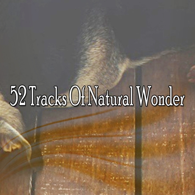 Couverture de 52 Tracks Of Natural Wonder