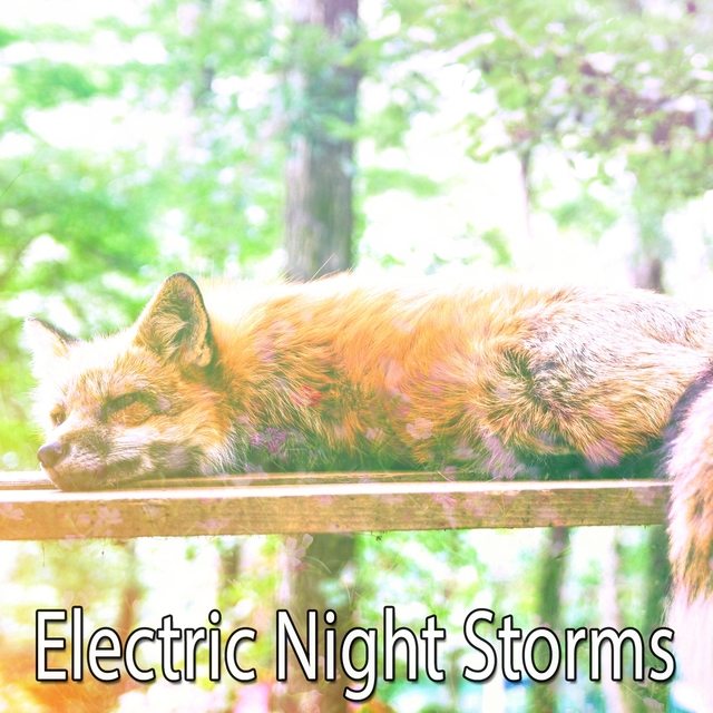 Couverture de Electric Night Storms