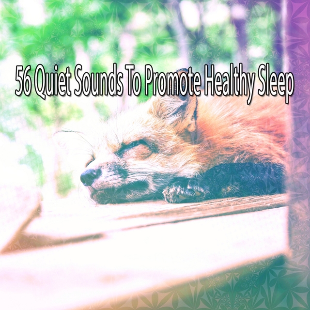 56 Quiet Sounds To Promote Healthy Sleep