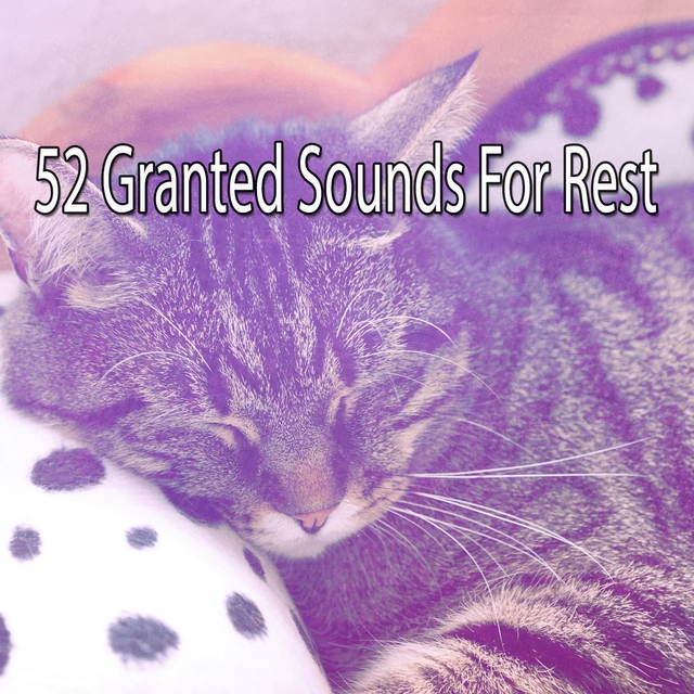 Couverture de 52 Granted Sounds For Rest