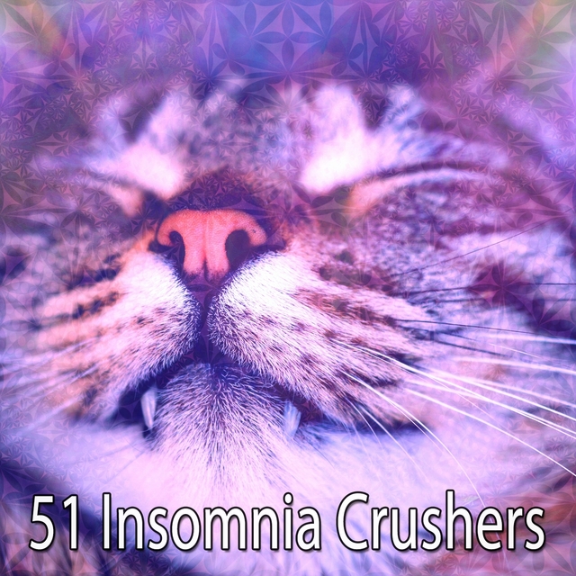 Couverture de 51 Insomnia Crushers