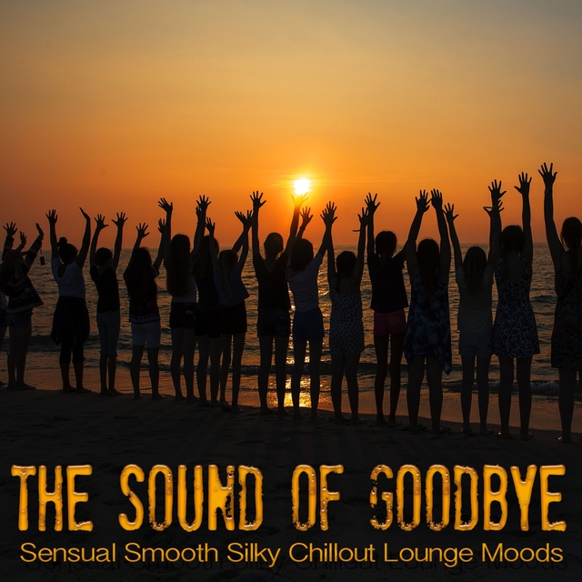 Couverture de The Sound Of Goodbye