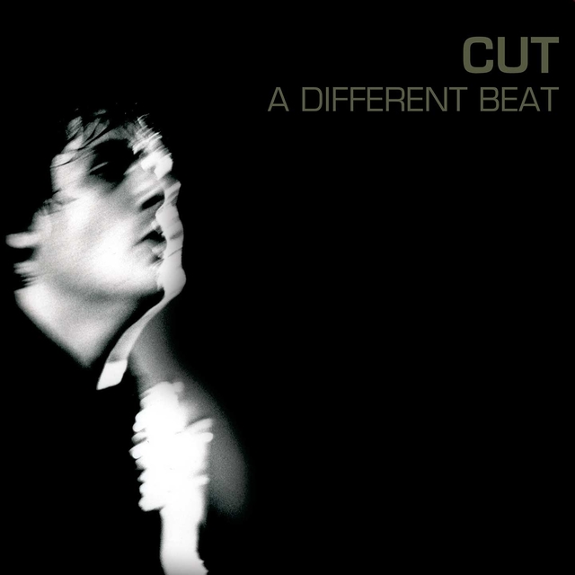 Couverture de A Different Beat