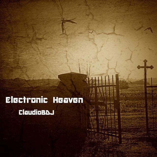 Couverture de Electronic Heaven