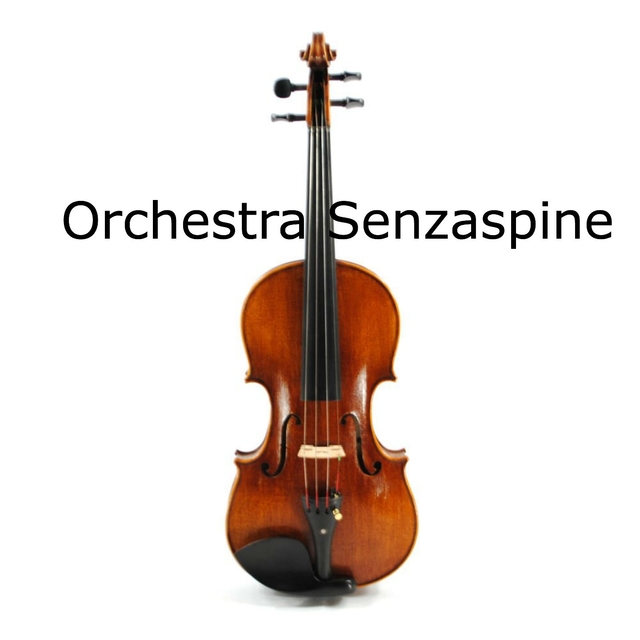 Couverture de Orchestra Senzaspine