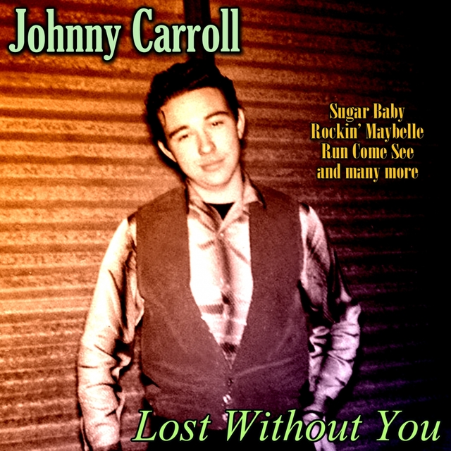 Couverture de Lost Without You