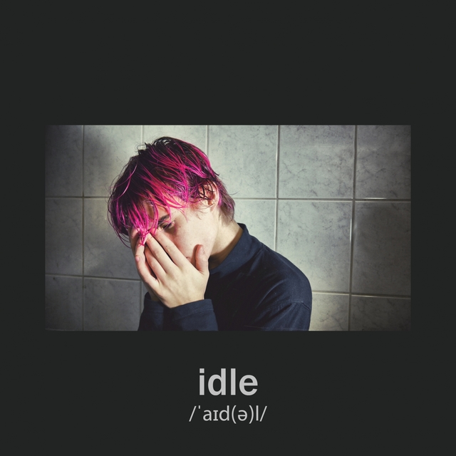 Couverture de idle