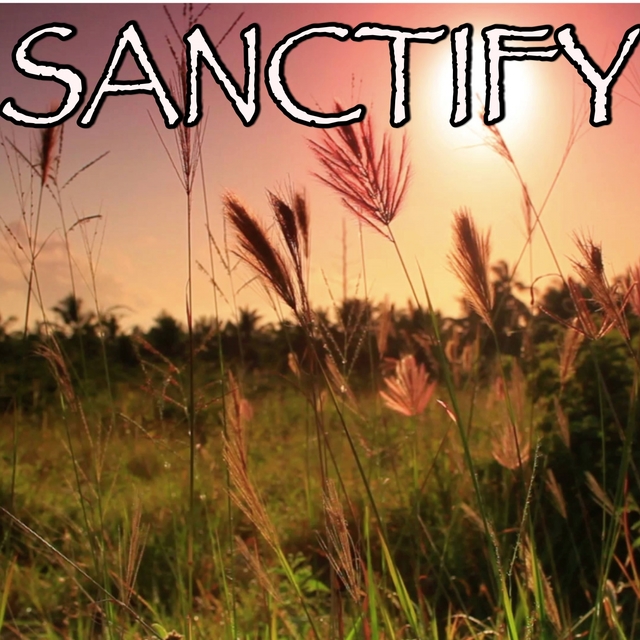 Couverture de Sanctify - Tribute to Years and Years