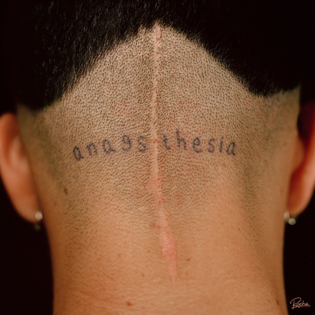 Couverture de Anaesthesia