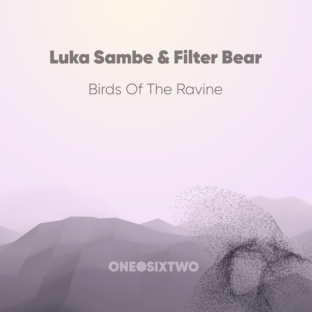 Couverture de Birds of the Ravine