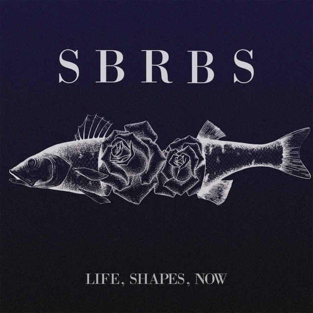 Couverture de Life, Shapes, Now