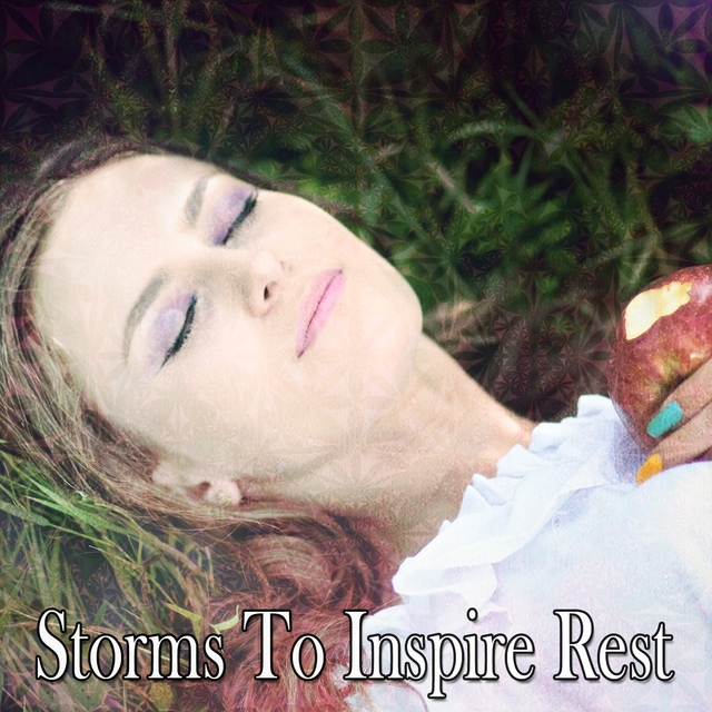 Couverture de Storms To Inspire Rest