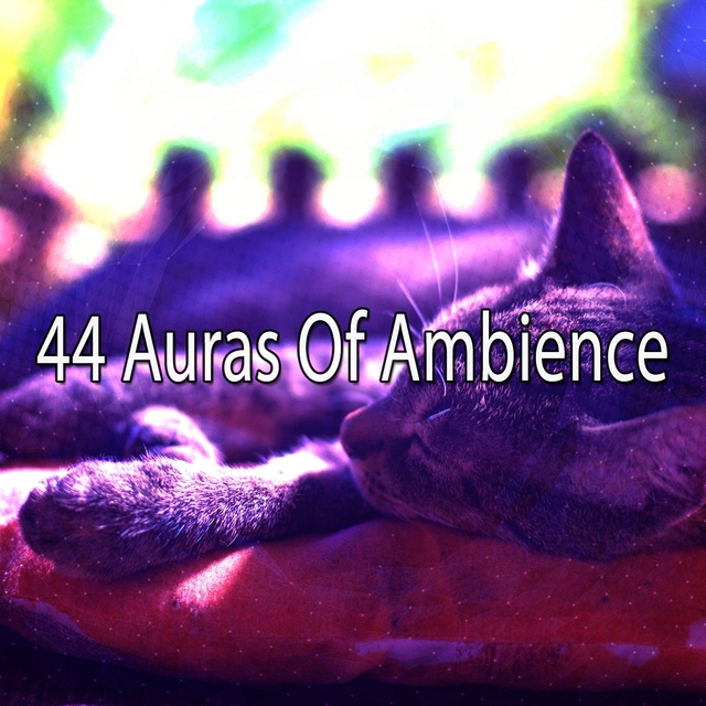 Couverture de 44 Auras Of Ambience