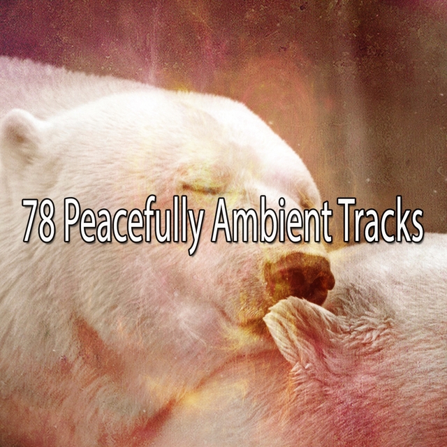 Couverture de 78 Peacefully Ambient Tracks