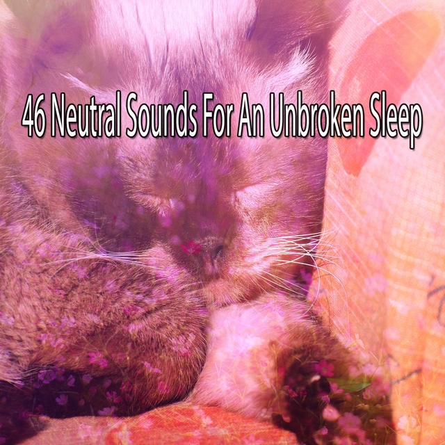 Couverture de 46 Neutral Sounds For An Unbroken Sleep