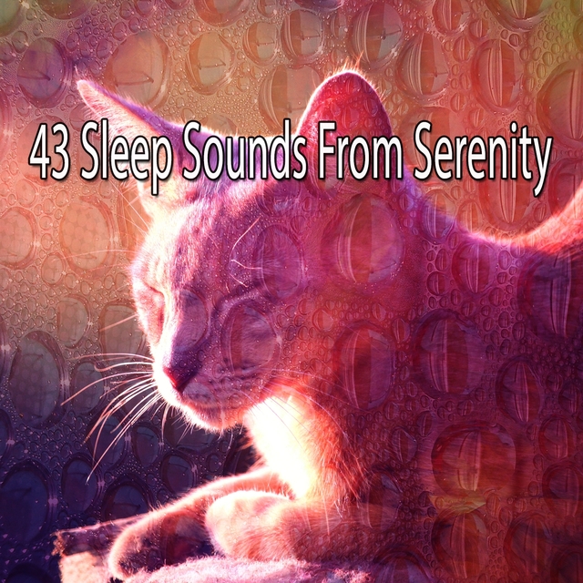 Couverture de 43 Sleep Sounds From Serenity