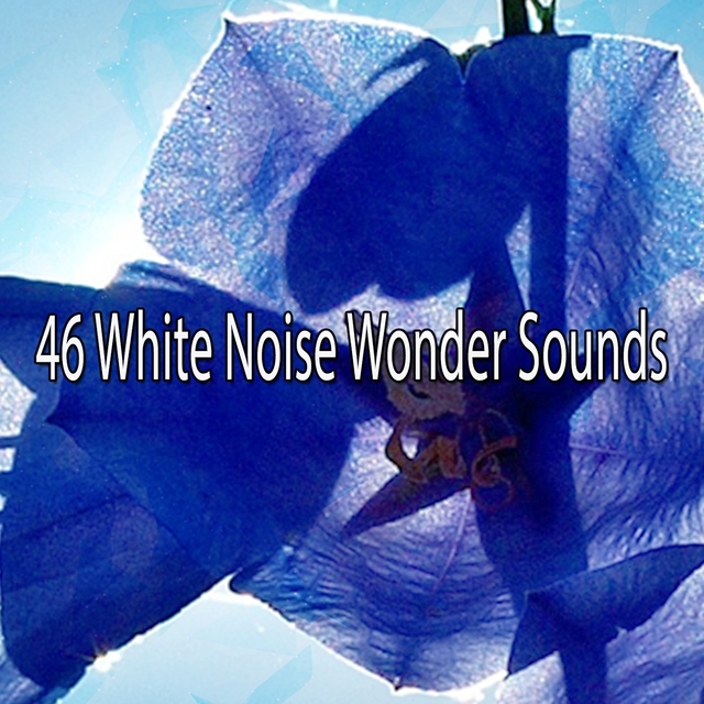 Couverture de 46 White Noise Wonder Sounds