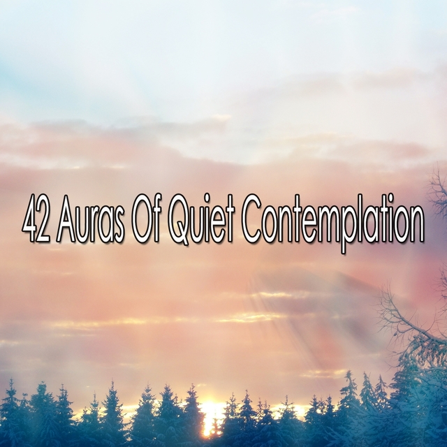 Couverture de 42 Auras Of Quiet Contemplation