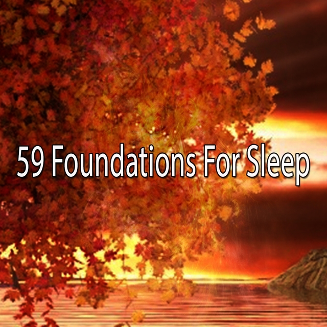 59 Foundations For Sleep