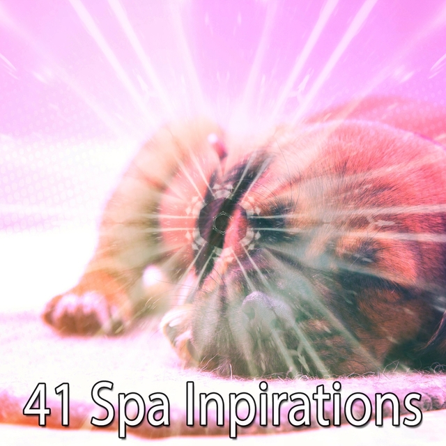 41 Spa Inpirations