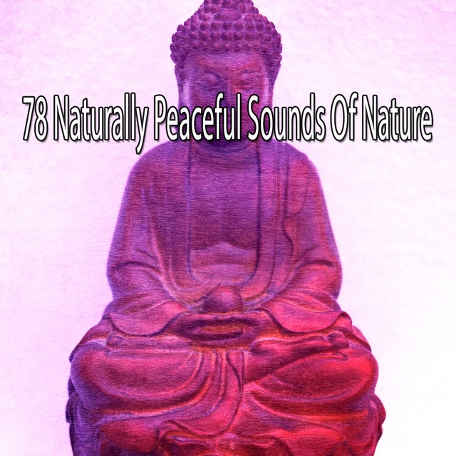 78 Naturally Peaceful Sounds Of Nature